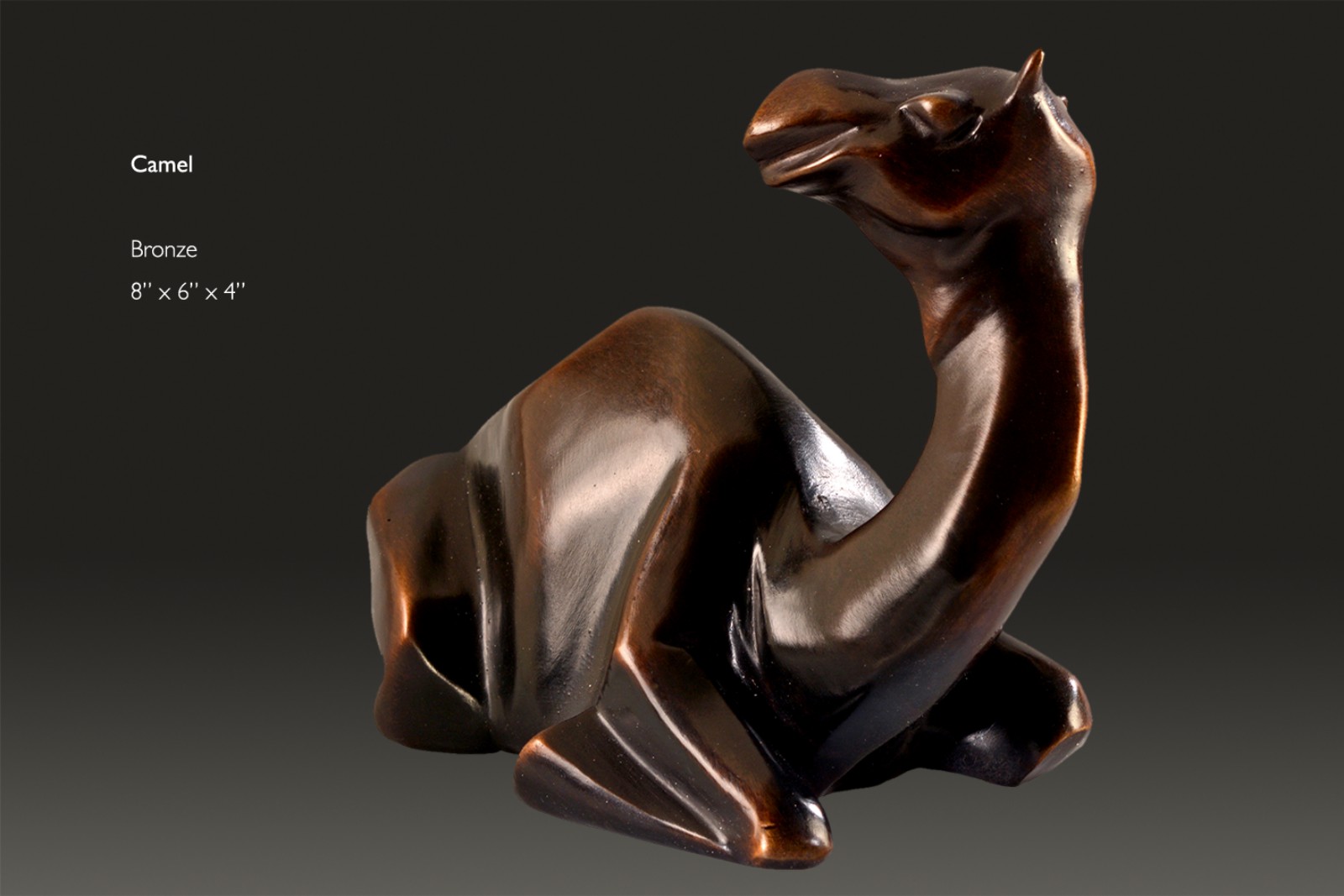 camel